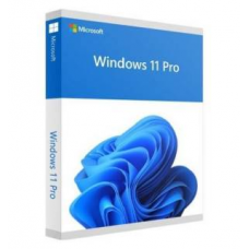 Windows 11 Professional OEM DVD