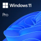 Windows 11 Professional ESD